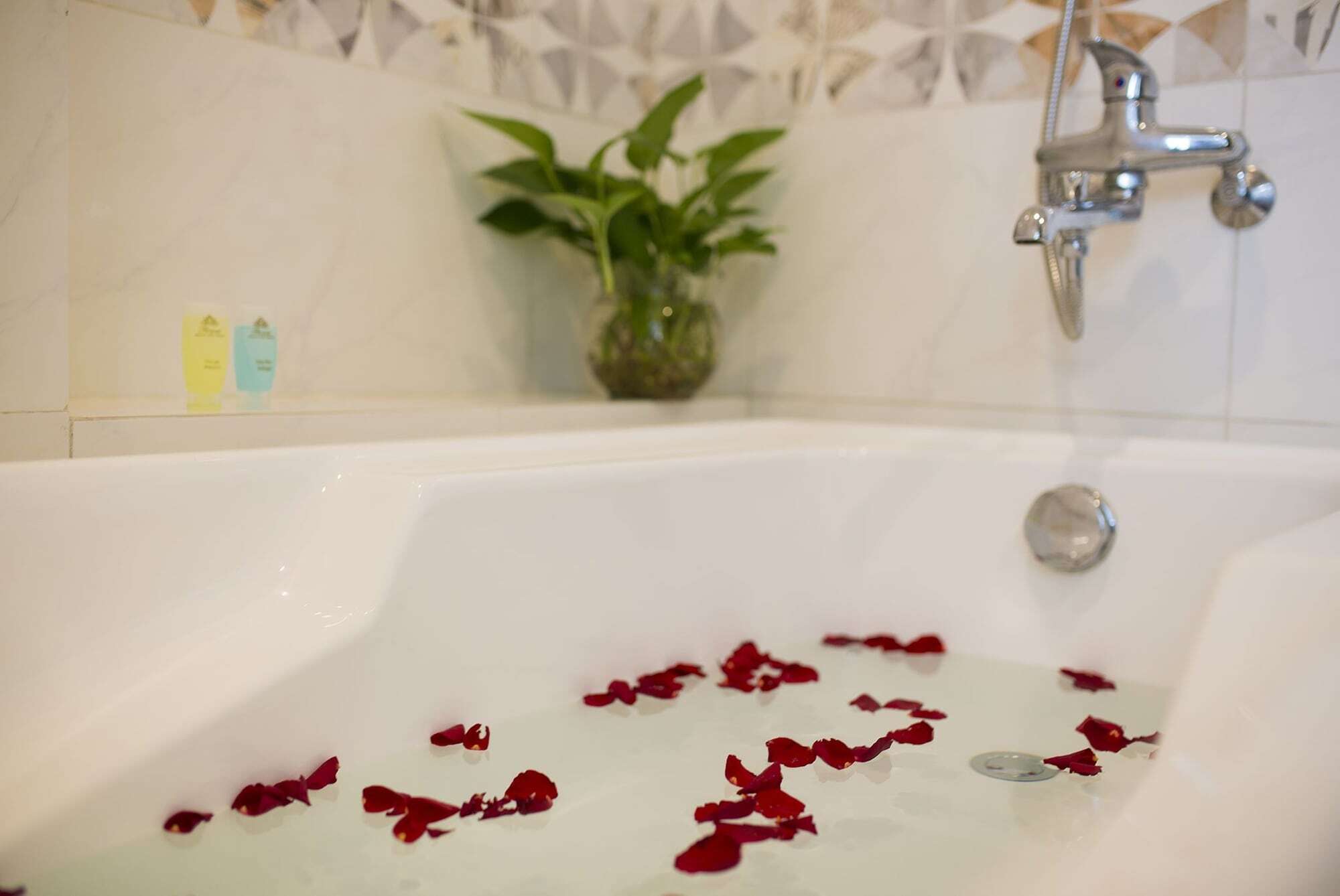 Khách sạn Flower 4*